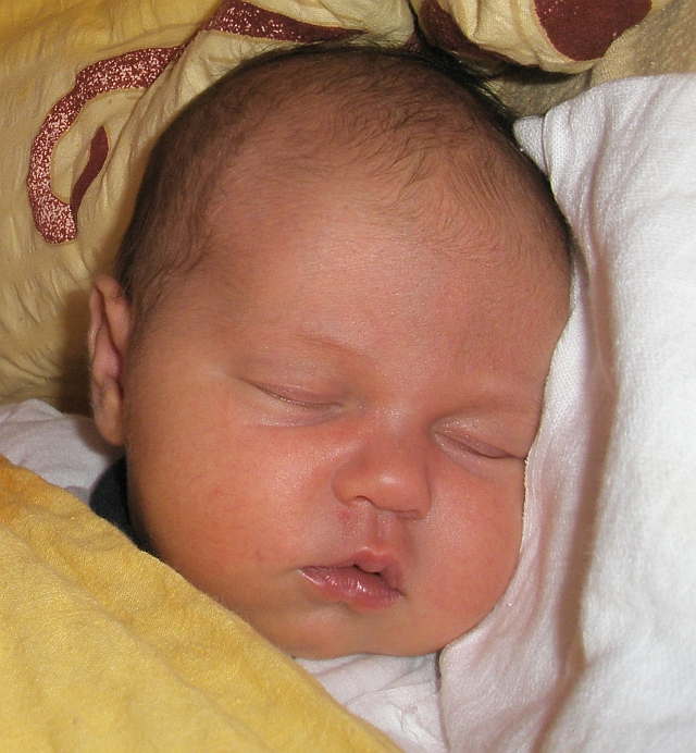Deniska detail.jpg